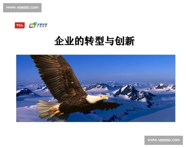 改革的深水区，乒乓球运动发展模式的创新与突破